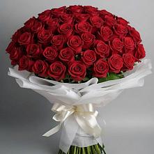 Букет 101 Красная роза Блэк Мэджик в Невели