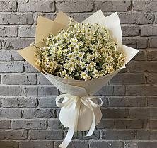 Букет цветов из:  Ромашки в Невели