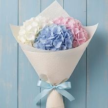Букет цветов из:  Гортензия в Невели