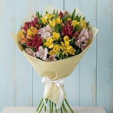 Букет цветов из:  Альстромерии #REPLACE_PRED# Невели