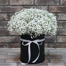 Цветочная композиция из Гипсофила в шляпной коробке #REPLACE_PRED# Невели
