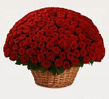 Премиум букет из: Розы в Невели